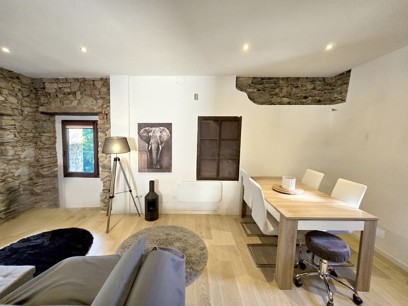Schönes Haus mit 3,5 und 2,5 Zimmern, renoviert und mit schönen Außenbereichen. (5)