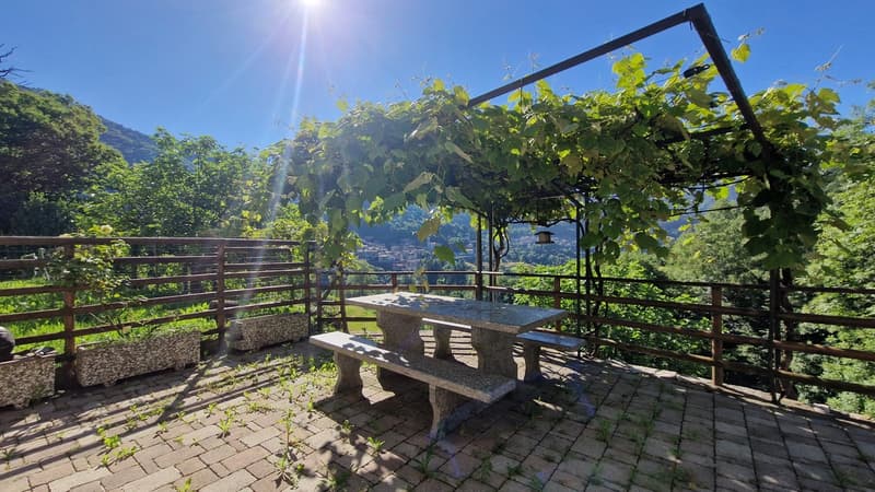 Ticino house 5.5 in the peace of nature with a wonderful panorama. (2)