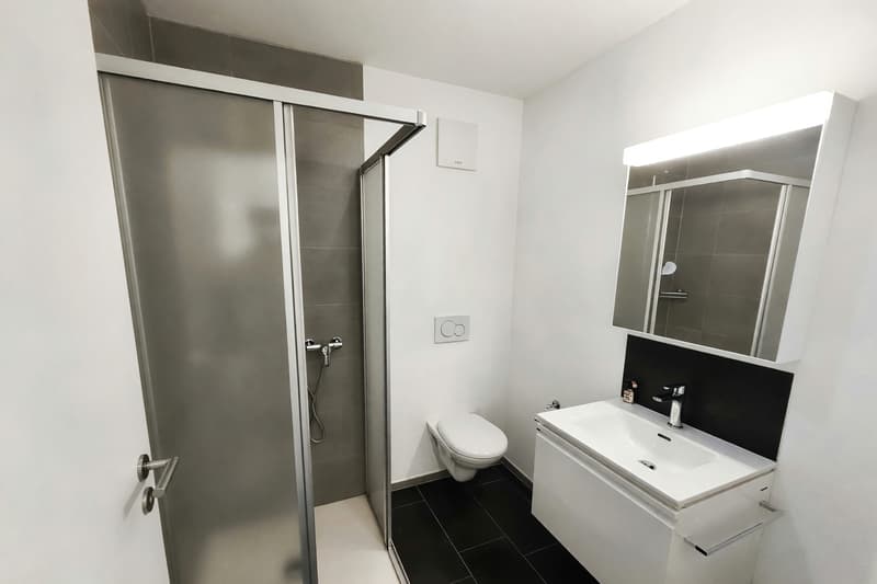 Wohnung 2,5 Zimmer mit Terrasse in kleiner Wohnanlage in Cadenazzo (8)