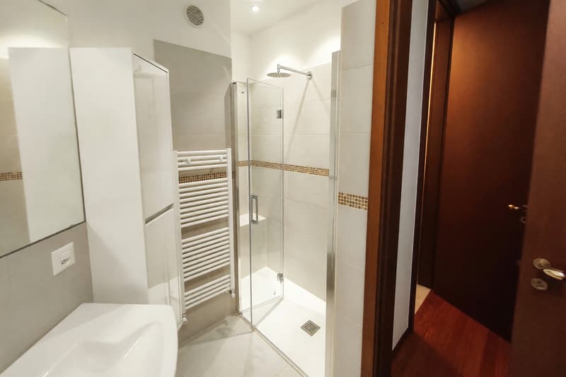 Apartment 2.5 with balcony in central location (7)