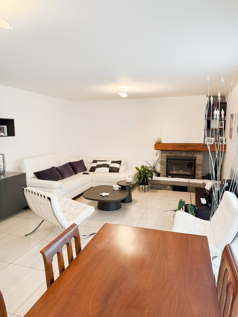 Belle maison 6,5 pièces rénovée en moyenne à haute gamme avec jardin. (4)