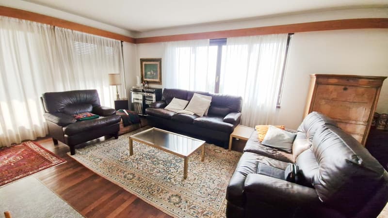 Maison unifamiliale 7,5 avec grand jardin et vue ouverte à Vacallo (3)
