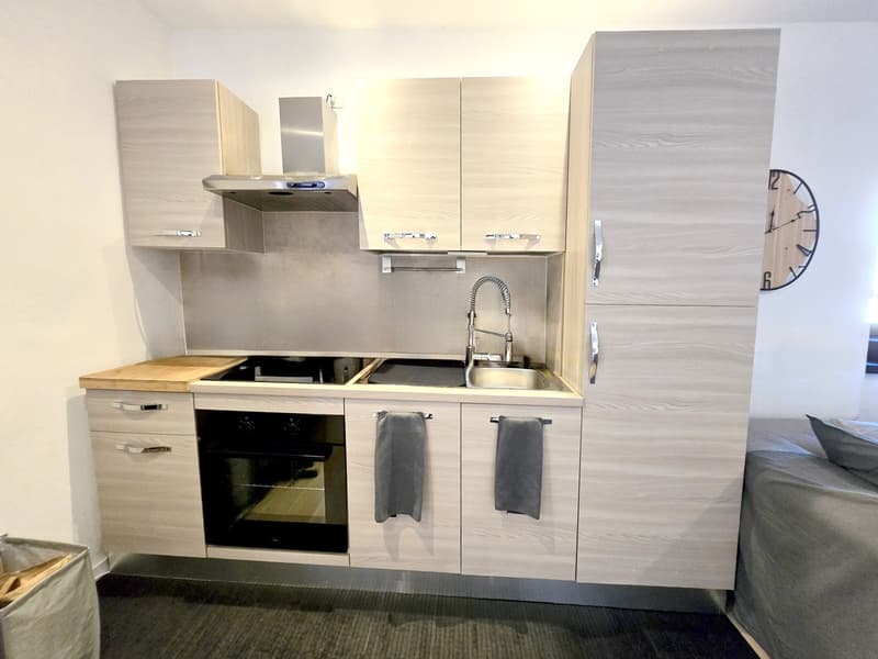 Schönes Kernhaus 3,5 und 2,5 Zimmer, komplett renoviert mit schönen Außenbereichen (4)