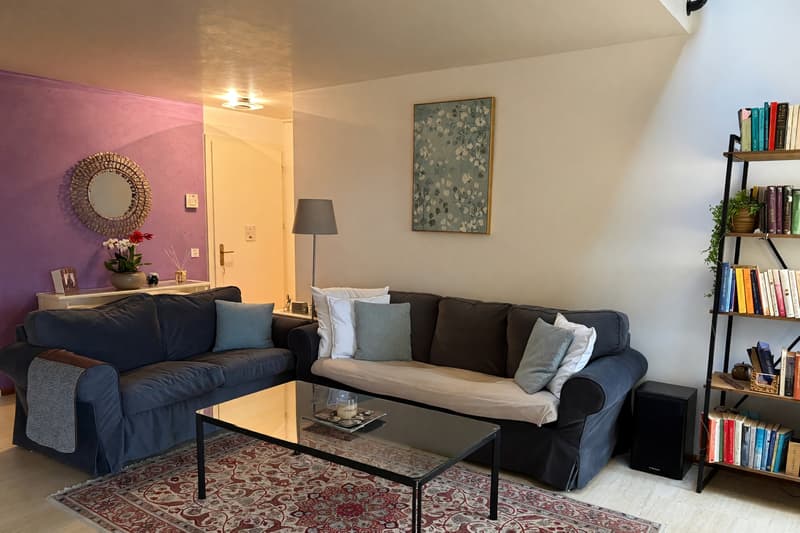 Beautiful large duplex with 5.5 rooms, panoramic terrace and fireplace (3)