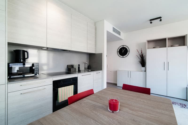 Appartement 2,5 de construction récente au cœur de Lugano (6)