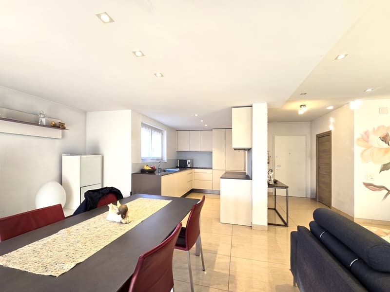 Appartement raffiné 4,5 pièces, complètement rénové avec terrasse et cheminée. (4)
