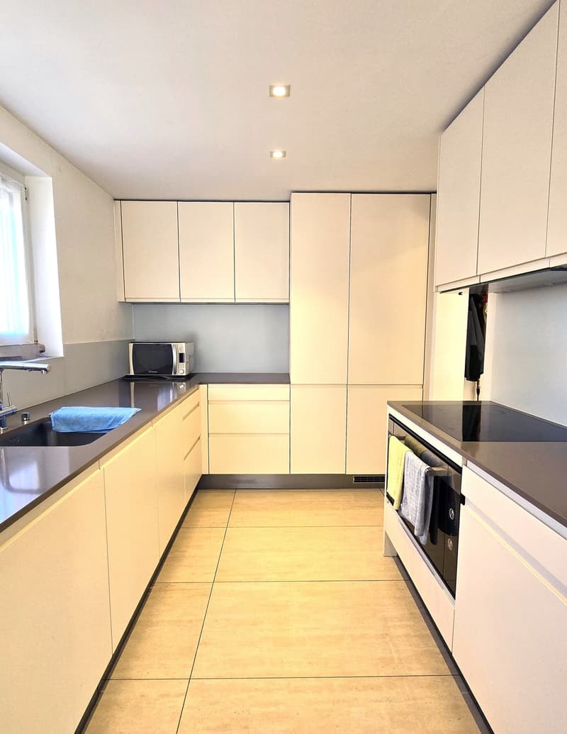 Appartement raffiné 4,5 pièces, complètement rénové avec terrasse et cheminée. (5)