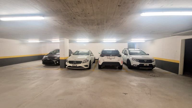 Appartement 3,5 pièces avec jardin et places de parking - résidence secondaire (13)