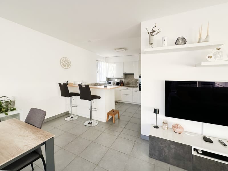Appartement lumineux 3,5 pièces avec grande terrasse ensoleillée en zone centrale (4)