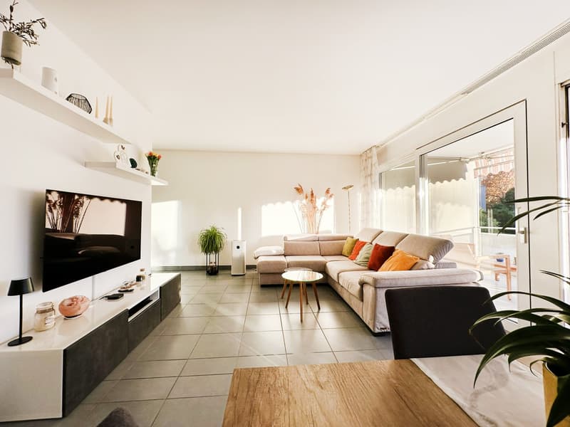 Appartement lumineux 3,5 pièces avec grande terrasse ensoleillée en zone centrale (2)