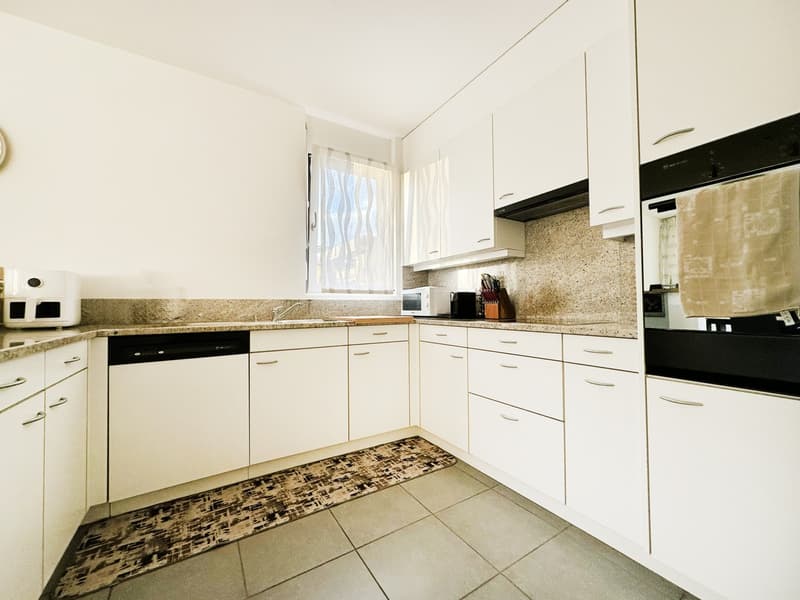 Appartement lumineux 3,5 pièces avec grande terrasse ensoleillée en zone centrale (5)