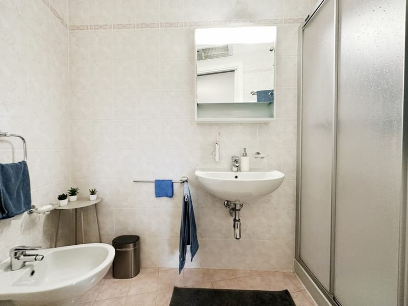 Appartement lumineux 3,5 pièces avec grande terrasse ensoleillée en zone centrale (9)