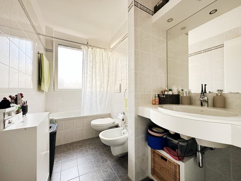 Appartement lumineux 3,5 pièces avec grande terrasse ensoleillée en zone centrale (8)