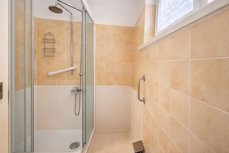 Appartement agréable et lumineux 2,5 pièces avec grand balcon (7)