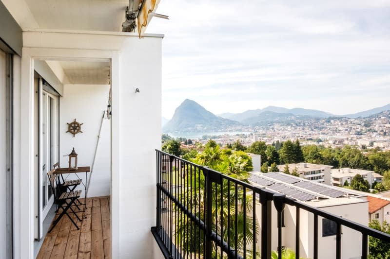 Appartement raffiné 2,5 pièces avec terrasse panoramique rénovée (1)