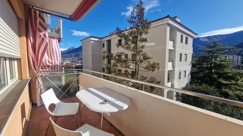 Appartement 7 pièces rénové avec de grands espaces et balcon (1)