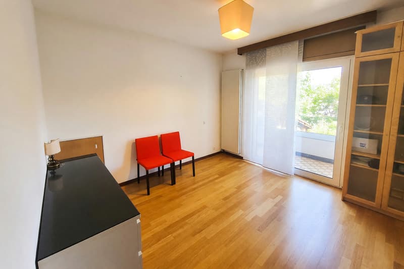 Appartement 4,5 avec cheminée et trois terrasses à Manno (8)