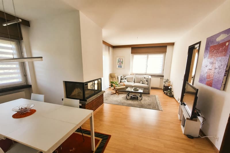 Appartement 4,5 avec cheminée et trois terrasses à Manno (1)