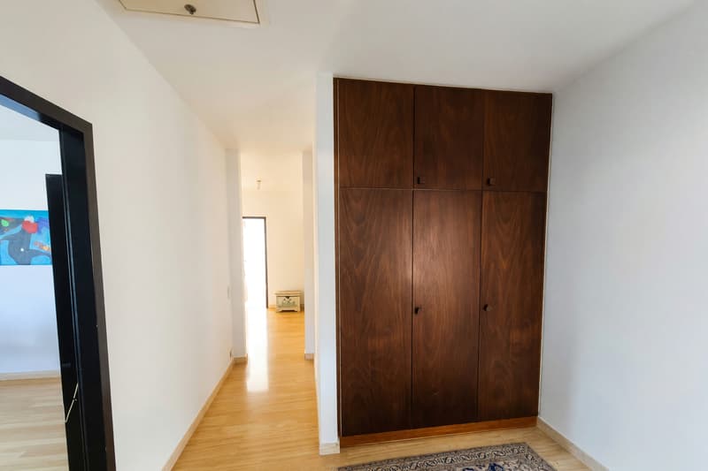 Appartement 4,5 avec cheminée et trois terrasses à Manno (4)