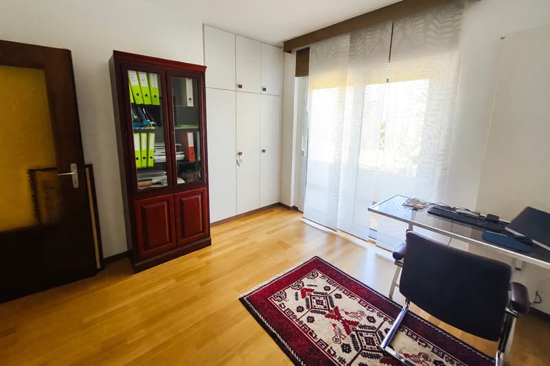Appartement 4,5 avec cheminée et trois terrasses à Manno (9)