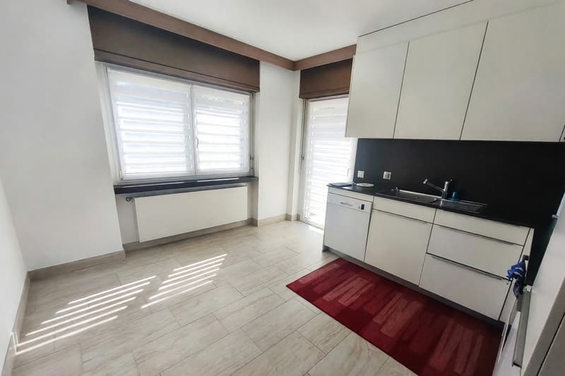 Appartement 4,5 avec cheminée et trois terrasses à Manno (3)