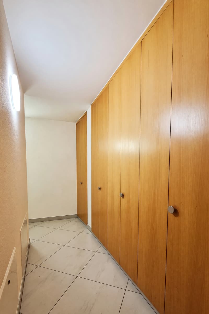 Wunderschönes Appartement 4,5 mit Terrasse und Kamin (11)