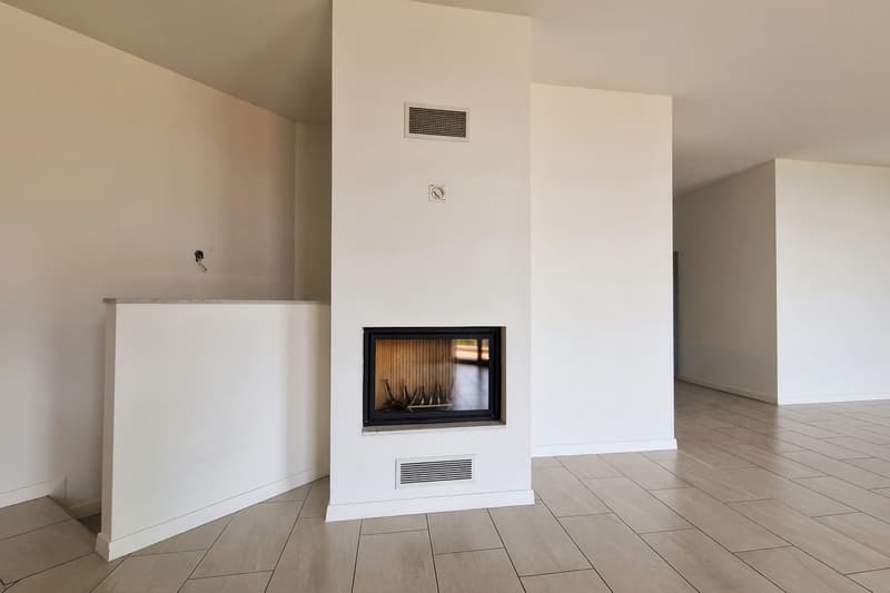 Semi-detached house with 5.5 rooms, lake-view terrace and garden in Lopagno (2)
