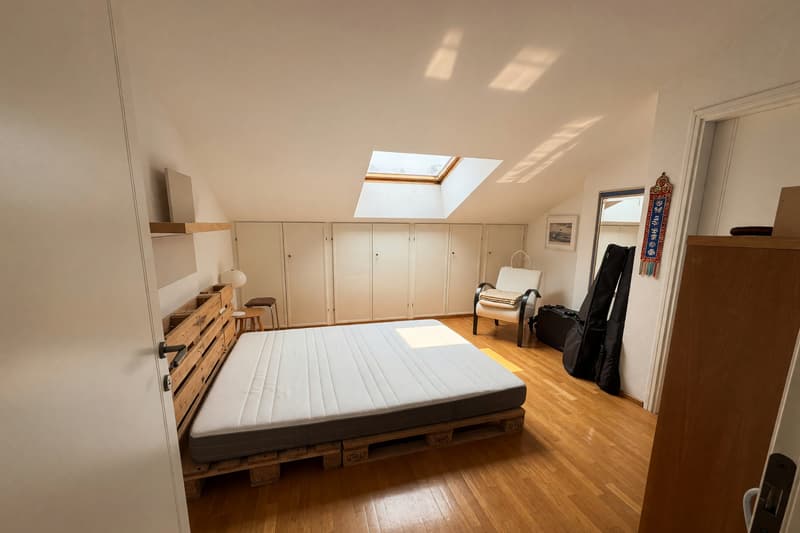 Beautiful large duplex with 5.5 rooms, panoramic terrace and fireplace (9)