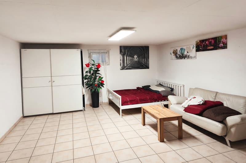 Villa 5.5 with 300 sqm garden and habitable attic (12)