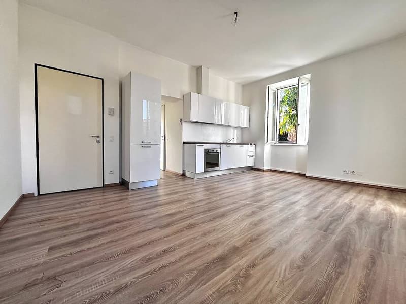 Renovated period villa with five units and significant income (1)