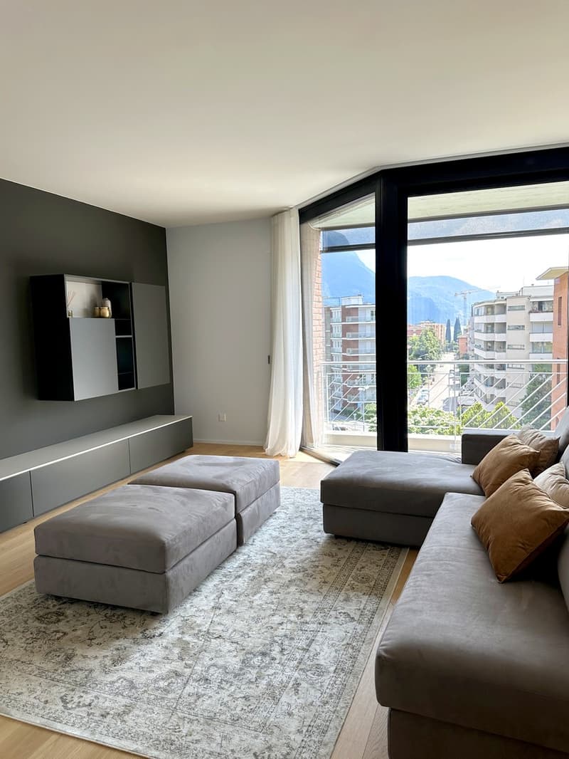 Duplex à l'étage sous les toits 4,5 rénové à neuf avec toit panoramique. (3)