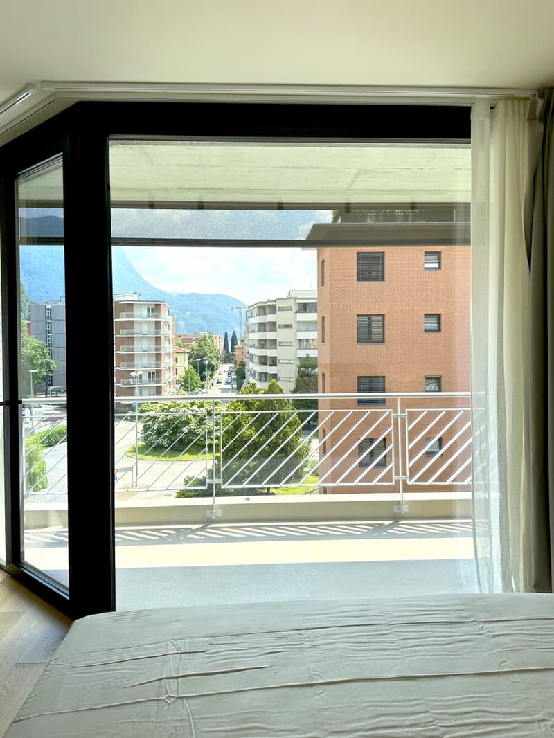 Duplex à l'étage sous les toits 4,5 rénové à neuf avec toit panoramique. (8)