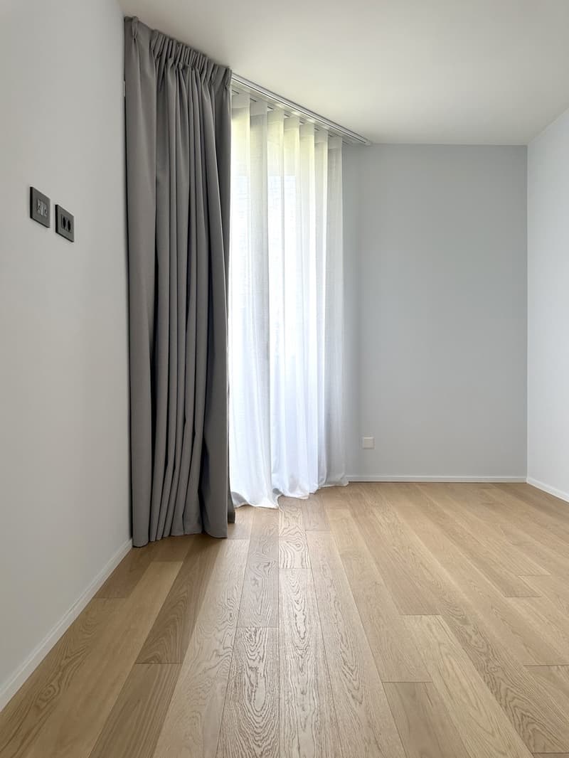 Duplex à l'étage sous les toits 4,5 rénové à neuf avec toit panoramique. (11)