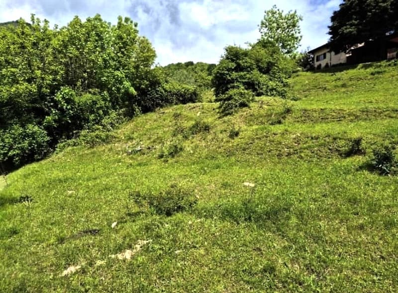 Bauland von 1008 m² mit schöner Aussicht auf das Tal (3)
