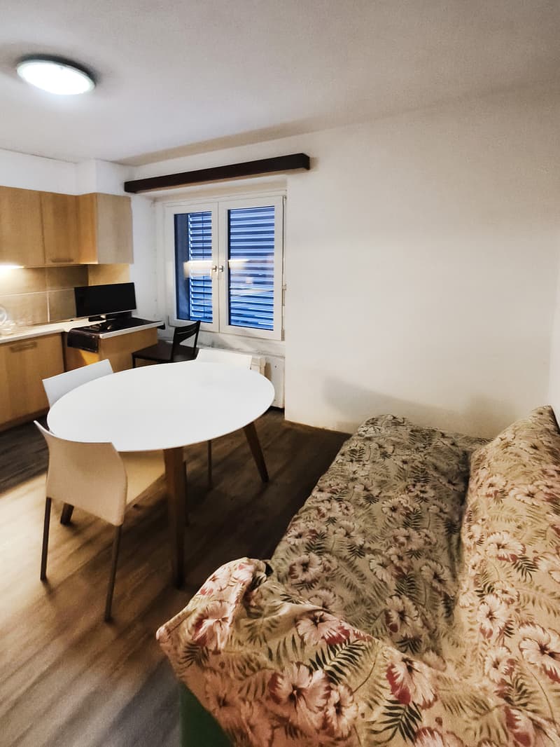 Income house with two apartments and storage space (9)