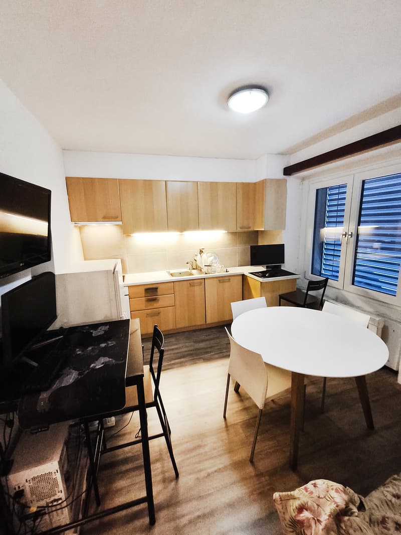 Income house with two apartments and storage space (8)