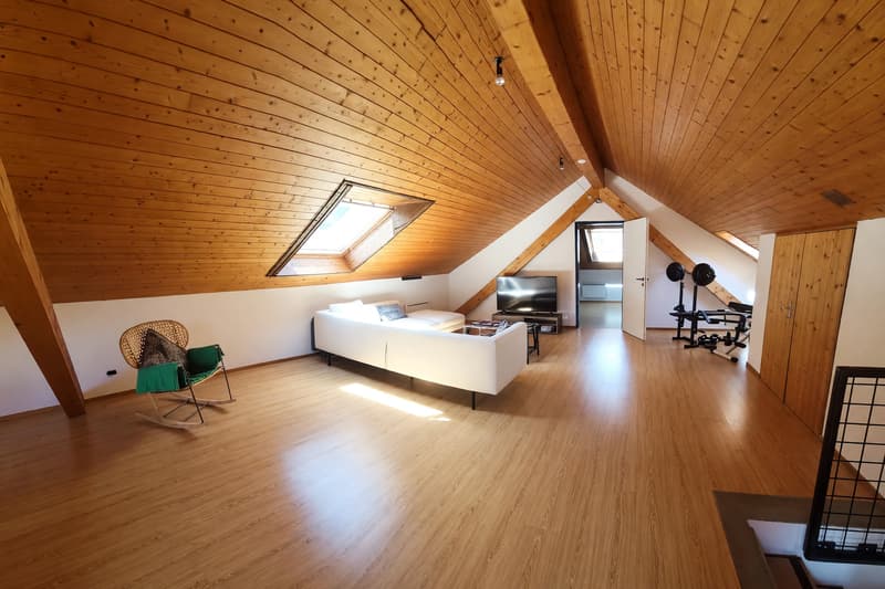 Duplex 5,5 pièces lumineux avec balcon et étage mansardé (1)