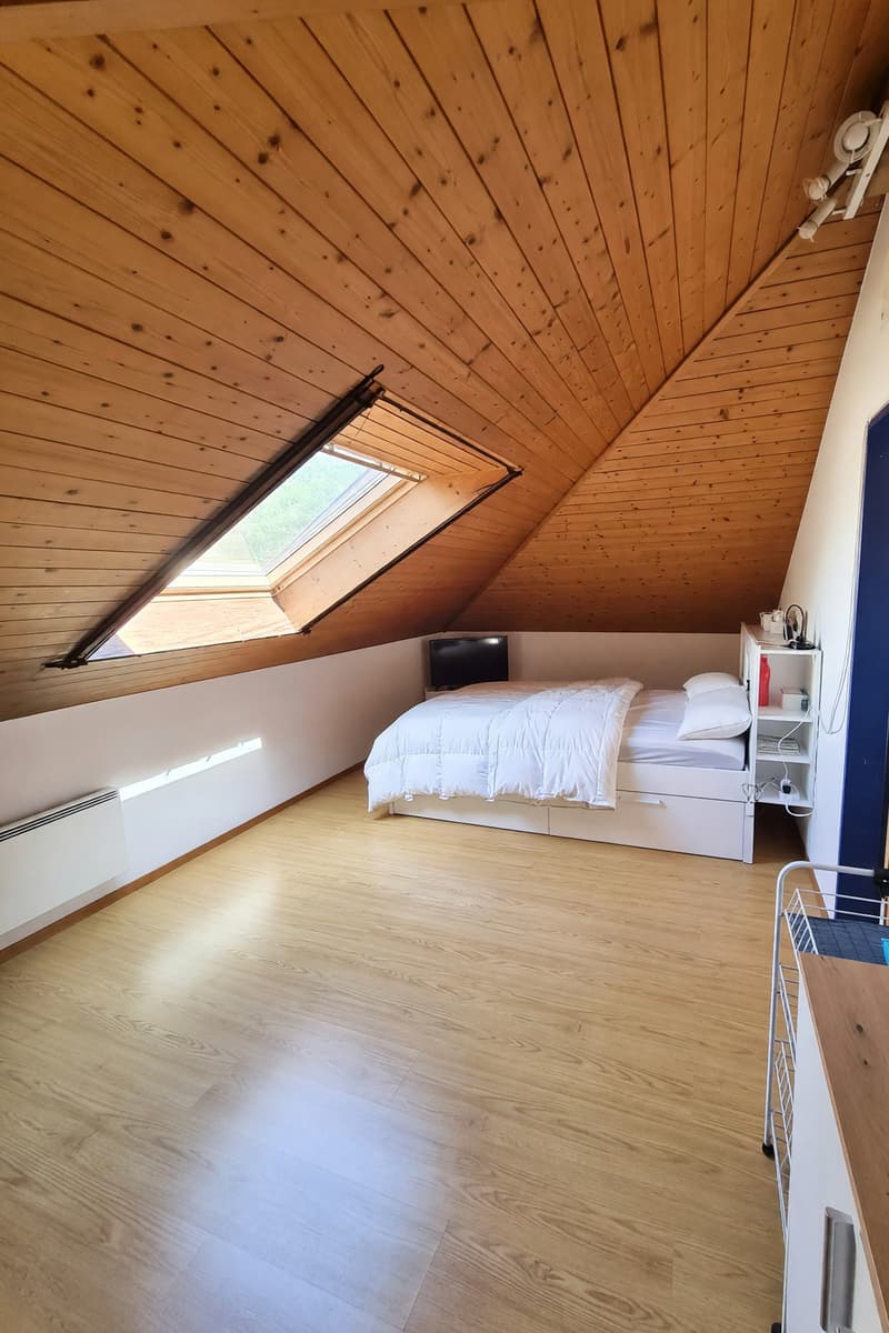 Duplex 5,5 pièces lumineux avec balcon et étage mansardé (5)
