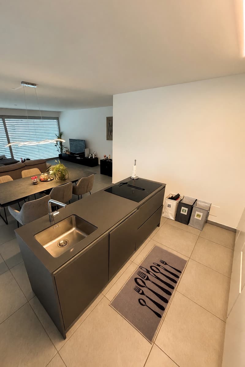 Elegante attico 3,5 avec terrasse de 70 m² au cœur de Bellinzona (13)