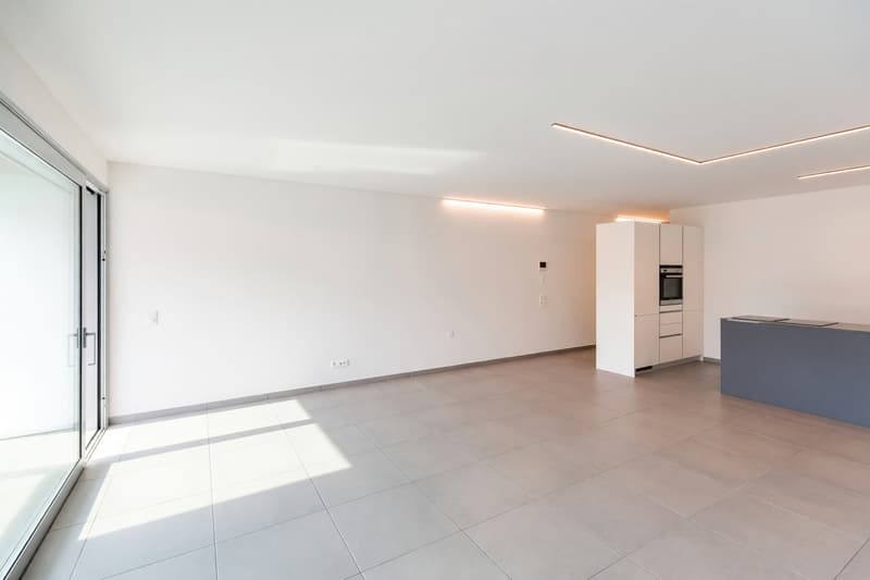 Elegante attico 3,5 avec terrasse de 70 m² au cœur de Bellinzona (7)