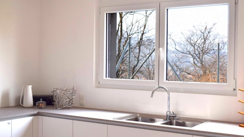 Modernes Apartment 3,5 mit Garten und separatem Studio. (3)