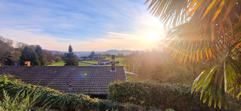 Duplex 4,5 in Doppelhaushälfte mit Panorama, eigenem Garten und Grotte. (2)