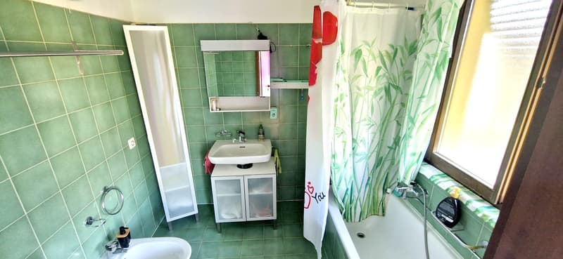 Spacious semi-detached house 6,5 with panoramic terrace and gardens (12)