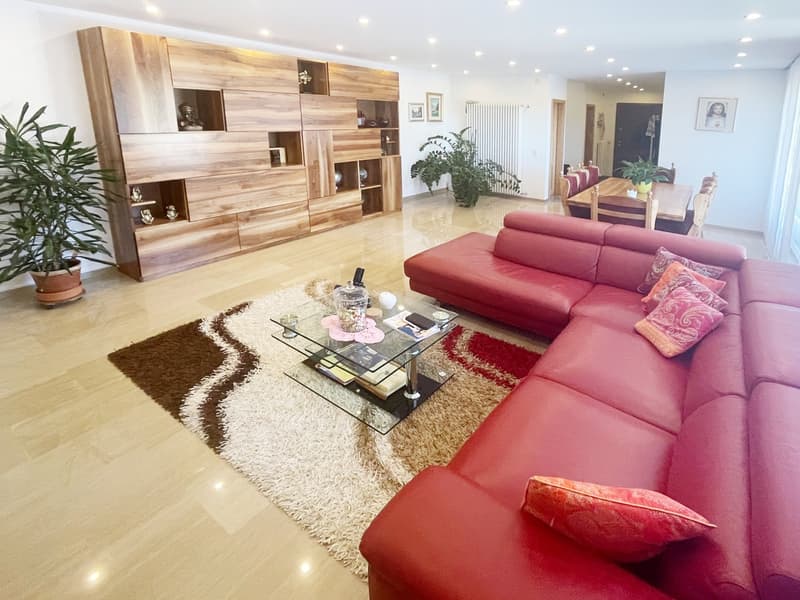 Casa 4,5 completamente ristrutturata con grande giardino e ampio fondo (6)