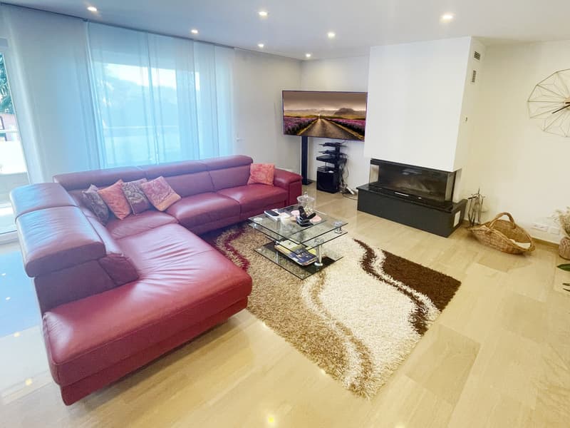 Casa 4,5 completamente ristrutturata con grande giardino e ampio fondo (5)