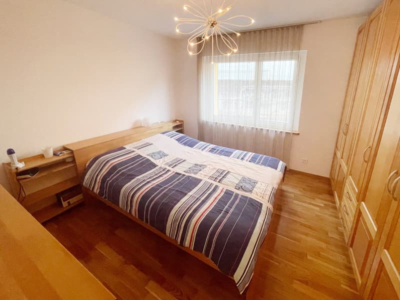 Casa 4,5 completamente ristrutturata con grande giardino e ampio fondo (9)