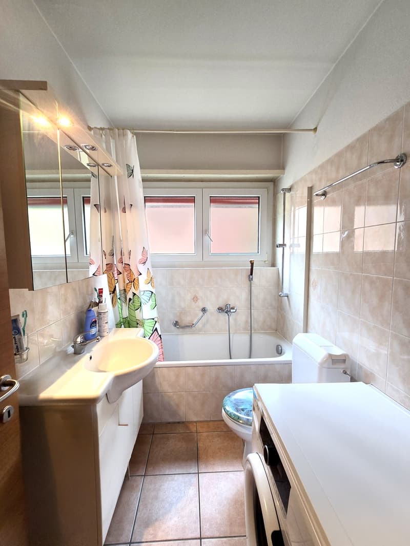 Großes 5,5-Zimmer-Apartment im dritten und letzten Stock mit überdachter Panoramaterrasse. (10)
