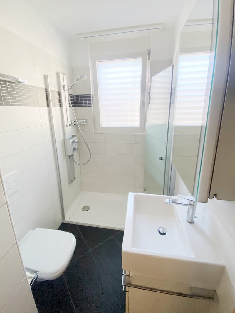 Modernes 2.5-Zimmer-Apartment mit Terrasse und Parkplatz im Zentrum. (8)