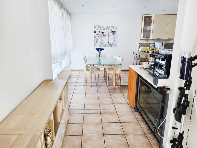 Einfamilienhaus 5,5 mit Garten und Gewerbeflächen (4)