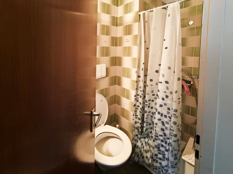 Einfamilienhaus 5,5 mit Garten und Gewerbeflächen (12)